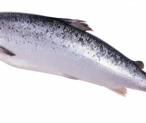 Schotse zalm
