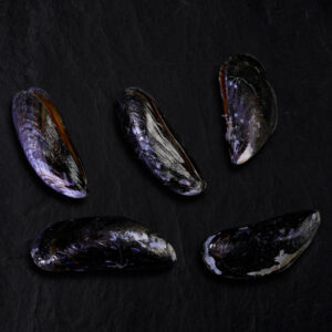 Mossels